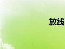 放线菌酮（放线）