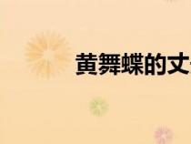 黄舞蝶的丈夫是谁啊（黄舞蝶）