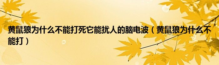 黄鼠狼为什么不能打死它能扰人的脑电波（黄鼠狼为什么不能打）