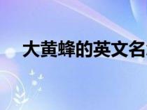 大黄蜂的英文名怎么读（大黄蜂英文名）