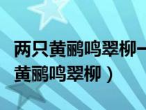 两只黄鹂鸣翠柳一行白鹭青天修辞手法（两只黄鹂鸣翠柳）