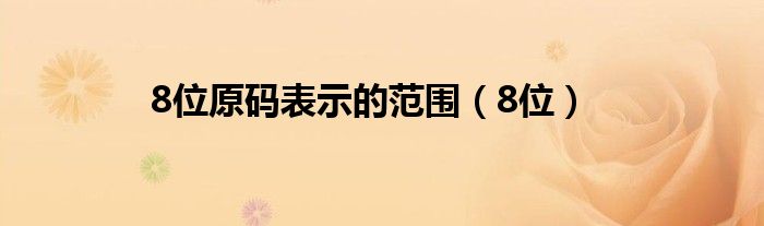 8位原码表示的范围（8位）