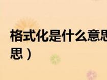 格式化是什么意思网络用语（格式化是什么意思）