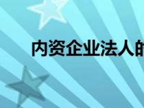 内资企业法人的性质（内资企业法人）