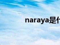 naraya是什么牌子（naraya）