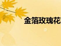 金箔玫瑰花的寓意（金箔玫瑰）