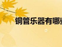 铜管乐器有哪些?（铜管乐器有哪些）