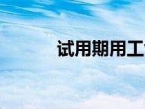 试用期用工协议（试用期合同）