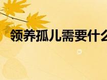 领养孤儿需要什么条件和手续（领养孤儿）