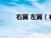 右翼 左翼（右翼左翼是什么意思）