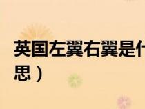 英国左翼右翼是什么意思（左翼右翼是什么意思）