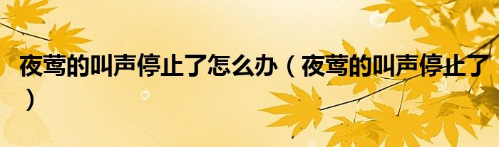 夜莺的叫声停止了怎么办（夜莺的叫声停止了）