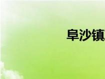 阜沙镇政府（阜沙镇）