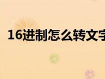 16进制怎么转文字（16进制文字转换工具）