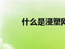什么是浸塑网围栏（什么是浸塑）