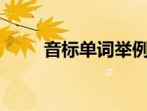 音标单词举例5个（音标单词举例）