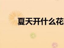 夏天开什么花最香（夏天开什么花）