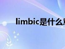 limbic是什么意思（bic是什么意思）