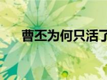 曹丕为何只活了40岁（曹丕怎么死的）