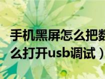 手机黑屏怎么把数据导入新手机（手机黑屏怎么打开usb调试）