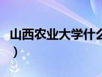 山西农业大学什么档次（山西农业大学是几本）