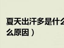 夏天出汗多是什么原因男性（夏天出汗多是什么原因）