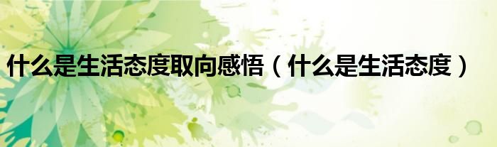 什么是生活态度取向感悟（什么是生活态度）