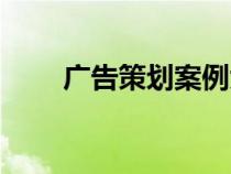 广告策划案例大全（广告策划案例）