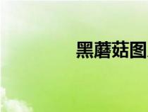 黑蘑菇图片大全（黑蘑菇）