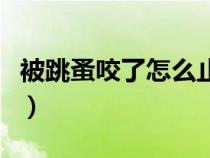 被跳蚤咬了怎么止痒快（被跳蚤咬了怎么止痒）
