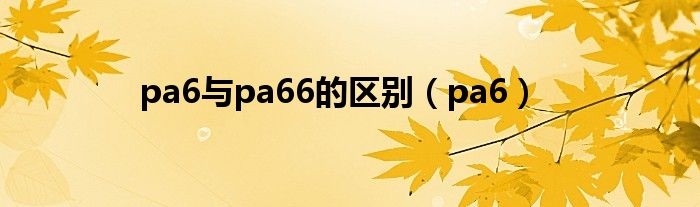 pa6与pa66的区别（pa6）