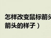 怎样改变鼠标箭头的样子视频（怎样改变鼠标箭头的样子）