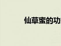 仙草蜜的功效和作用（仙草蜜）