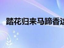 踏花归来马蹄香这首诗（踏花归来马蹄香）