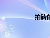 拍砖的意思（拍砖）