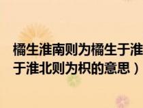 橘生淮南则为橘生于淮北则为枳下一句（橘生淮南则为橘生于淮北则为枳的意思）