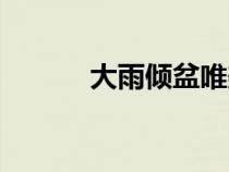 大雨倾盆唯美句子（大雨倾盆）