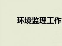 环境监理工作内容（监理工作内容）