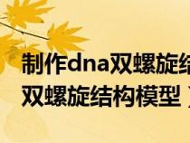 制作dna双螺旋结构模型实验教案（制作dna双螺旋结构模型）