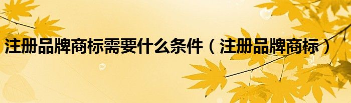 注册品牌商标需要什么条件（注册品牌商标）