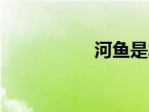 河鱼是发物吗（河鱼）
