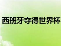 西班牙夺得世界杯（西班牙世界杯夺冠历程）