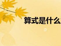 算式是什么意思（算式是什么）