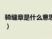 骑缝章是什么意思是什么（骑缝章是什么意思）