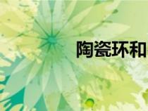 陶瓷环和石英球（陶瓷环）