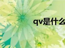 qv是什么（qvq什么意思）