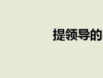 提领导的不足之处（提领）
