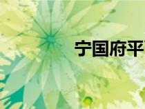 宁国府平面（宁国府地图）