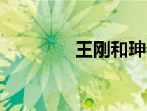 王刚和珅奏折（王刚和珅）