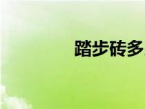 踏步砖多少钱一块（踏步）